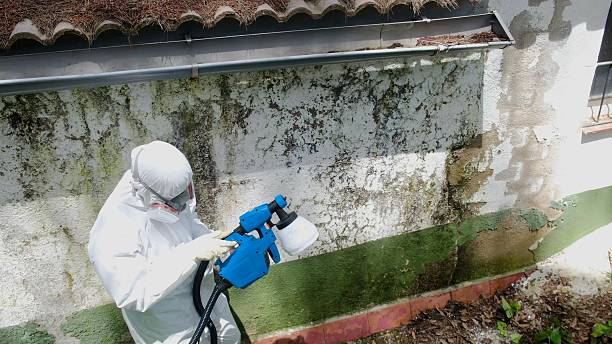 Trusted Bathroom Mold Removal service in Walnut Bottom, PA - Cheap Mold Removal